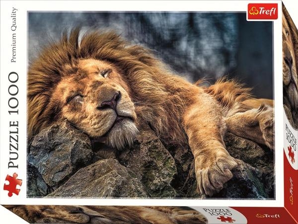 PUZZLE TREFL 1000 LEU DORMIND